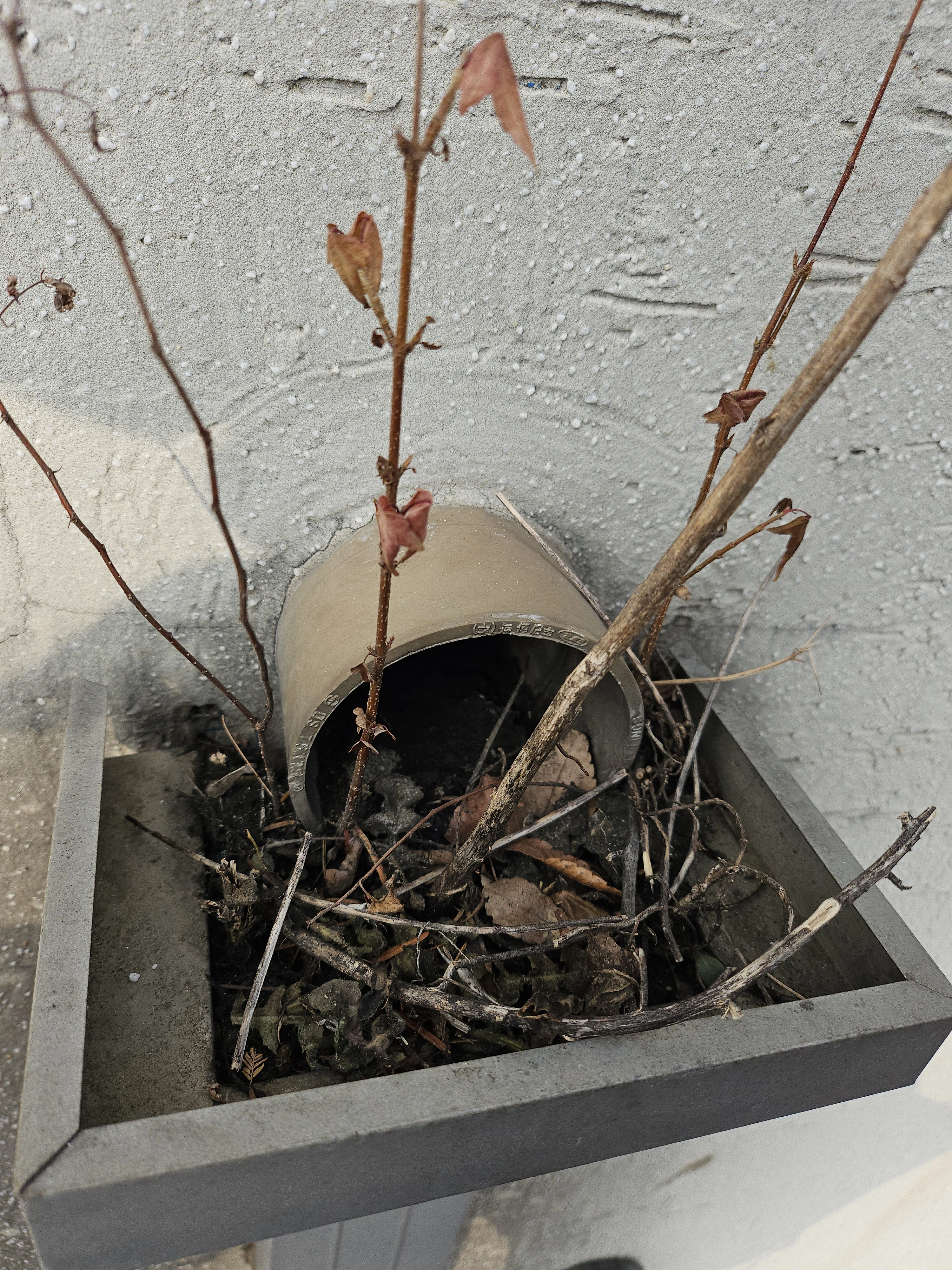 우수관 수리 사례 1 전